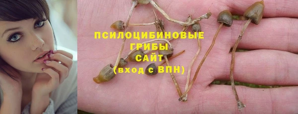 дживик Бугульма