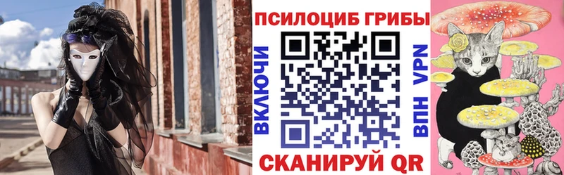 Псилоцибиновые грибы ЛСД  Купить закладки  Юрьевец 